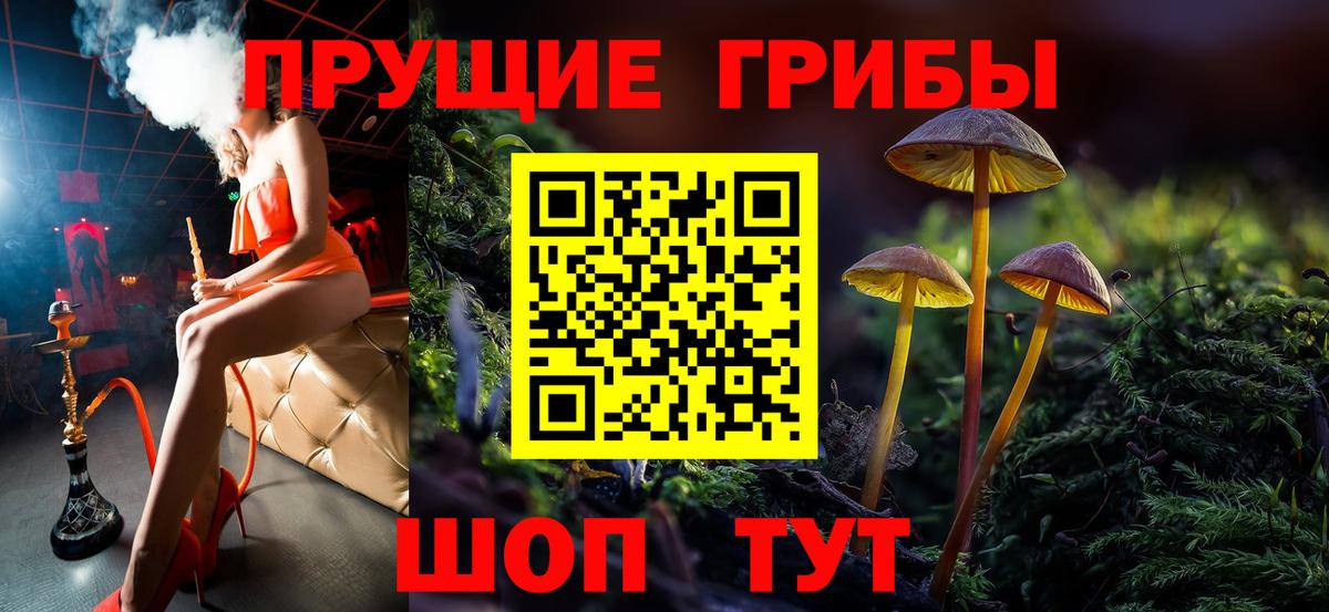 Псилоцибиновые грибы ЛСД Губкин