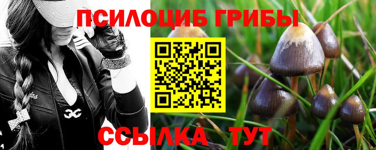 Галлюциногенные грибы Psilocybe  Вход с VPN  Губкин 